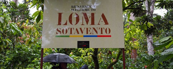 Loma Sotavento Cacao plantation, Dominican Republic