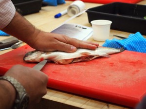 Gutting fish at Leiths School of Food and Wine