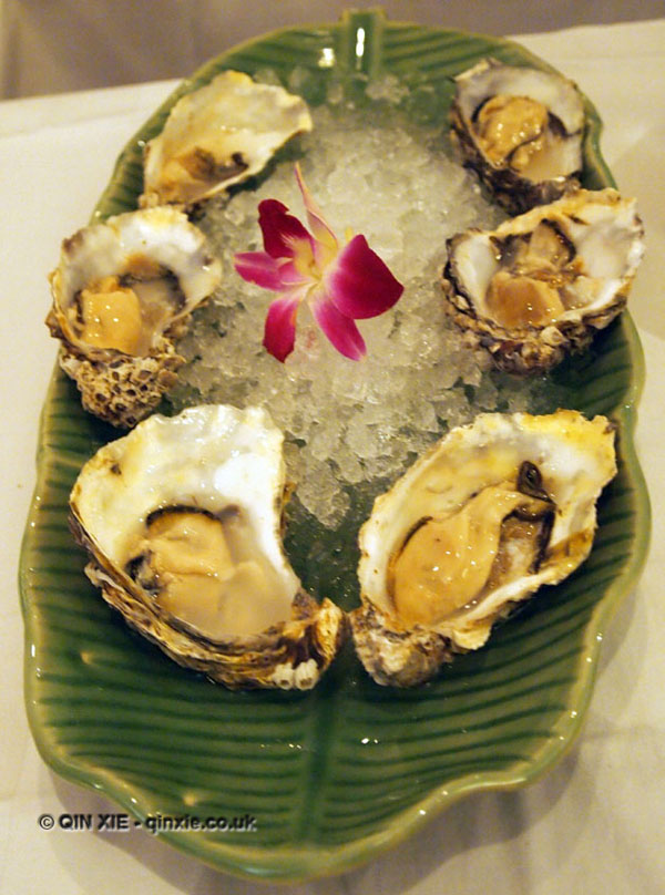 Oysters shucked by Qin Xie at Patara, Greek Street