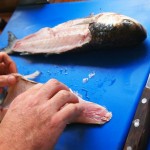Sea bass fillet at Fish in a Day, Food Safari