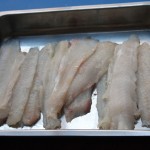 Sea bass fillets at Fish in a Day, Food Safari