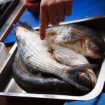 Sea bass at Fish in a Day, Food Safari