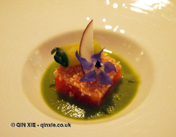 Wild salmon, coconut, wasabi, curry, salad, Champagne Duval-Leroy lunch at The Greenhouse, Mayfair