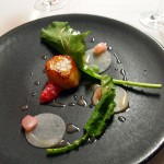 Scallop – rhubarb, turnips, cabbage, Bubbledogs Kitchen Table, Fitzrovia