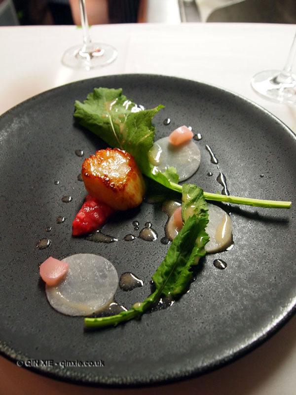 Bubbledogs Kitchen Table dinner In Pursuit of Food