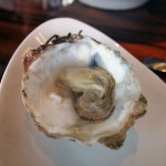 Oyster, Catch by Simonis, The Hague
