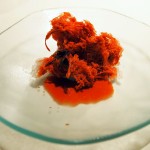 Ice shreds, scarlet shrimp perfume, Mugaritz, Errenteria