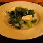 Salad of Brussels sprouts, Finnish "ricotta" and wild herbs with pine needle dressing, foraging with Sami Tallberg, Helsinki