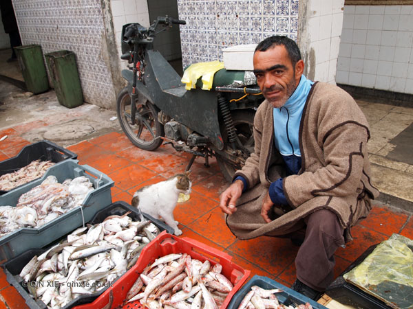Man selling fish, Tunisia