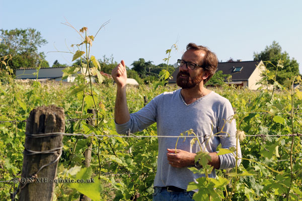 Thierry Germain, Domaine des Roches Neuves, Saumur-Champigny