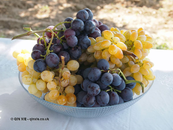 Grapes in Georgia