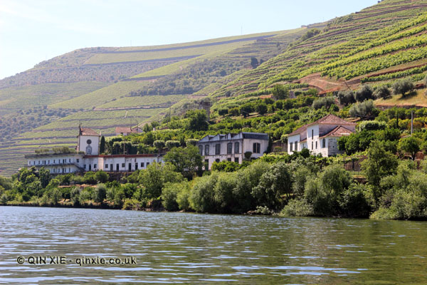 Quintas along the river, Douro Valley, Portugal