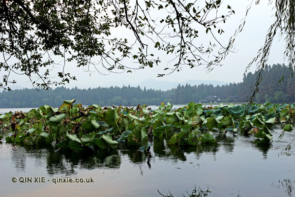 West Lake, Hangzhou, China