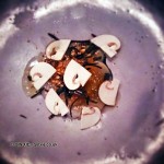 Raw Orkney scallop, hazelnut, sudachi and Perigord truffle, with Yeni Raki at The Clove Club