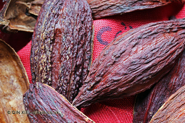 Cocoa pod shell, Diamond Chocolate Factory