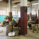 Ladies processing nutmeg, Gouyave nutmeg factory, Grenada