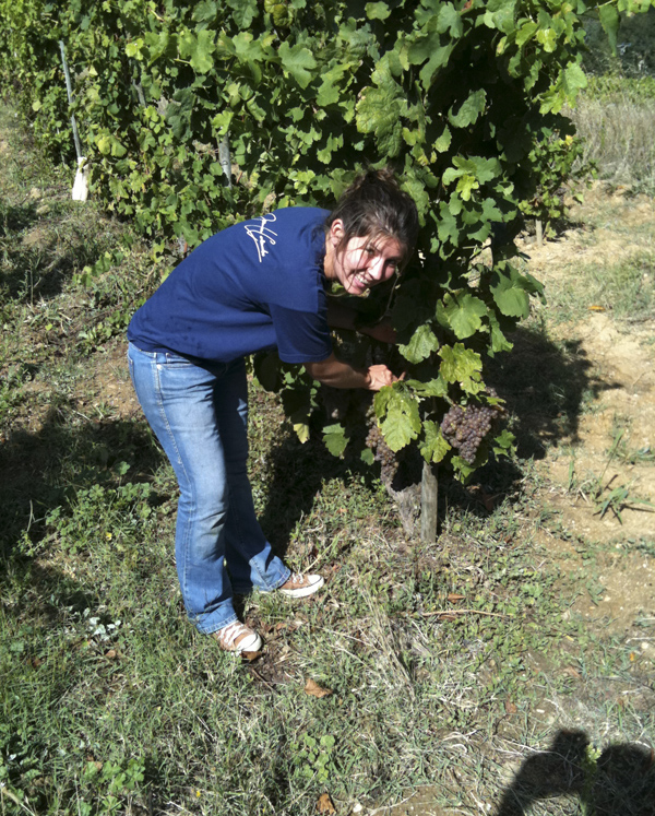 Laure Colombo in the vineyard