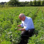 Alex Aitken at a Hampshire pick-your-own farm